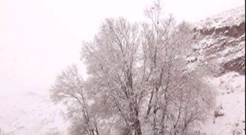  فراگیری برف و باران در بیشتر مناطق کشور