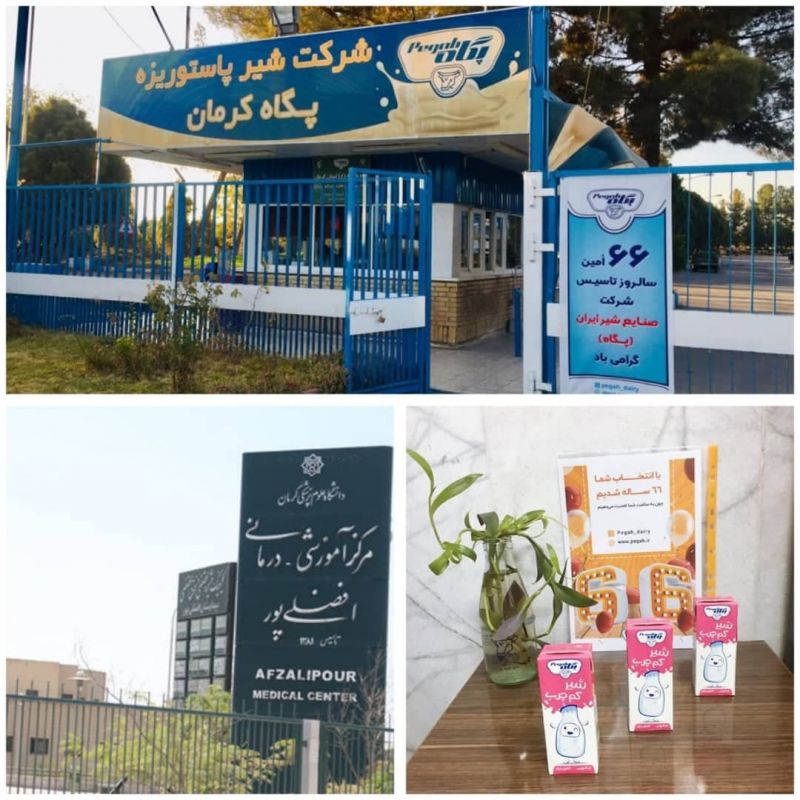 تجلیل پگاه کرمان از کادر درمان استان 