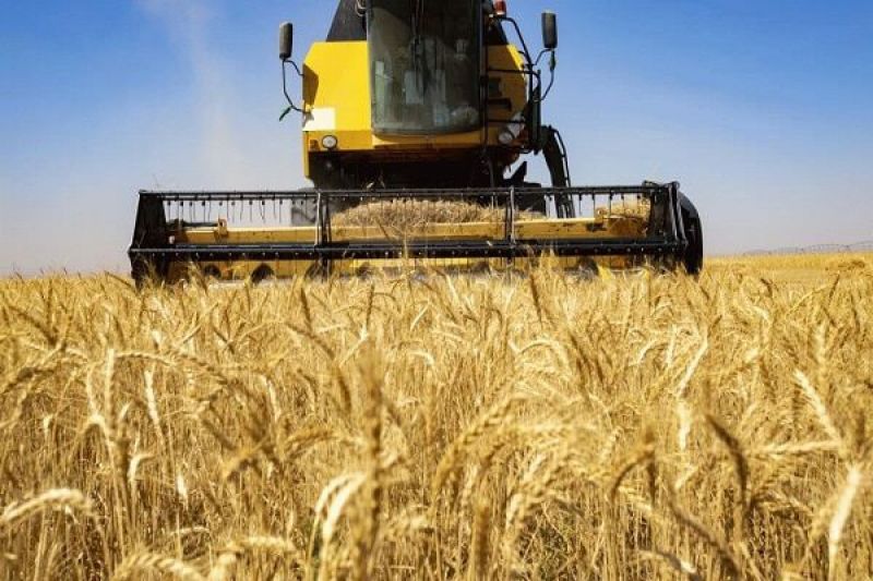 خرید ۴ میلیون تُن گندم از کشاورزان ۲۱ استان