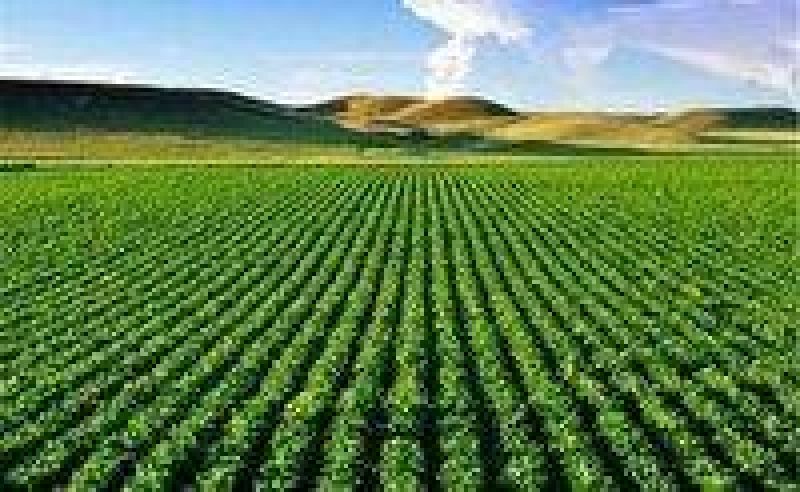 افزایش ۸ میلیون تنی تولیدات کشاورزی 