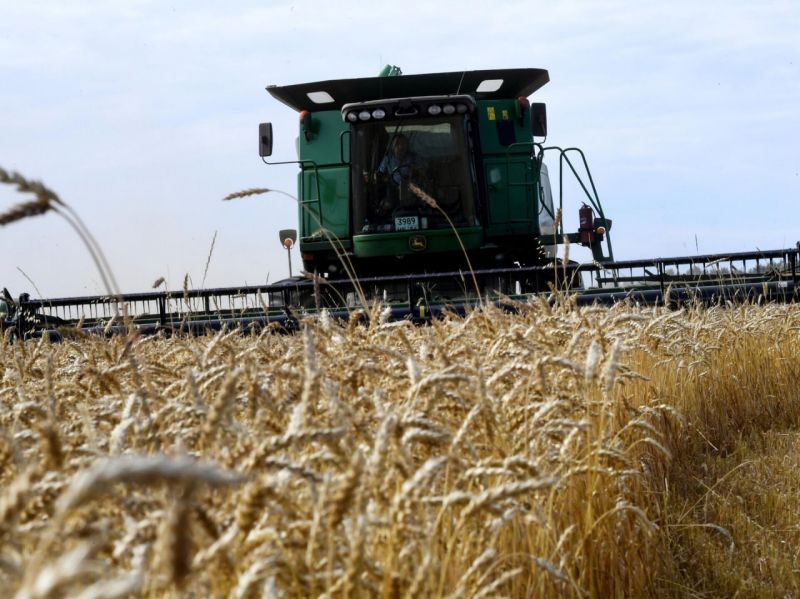  «رشد تولید گندم» برای تأمین نان سفره ۸۵ میلیون ایرانی/ ۶ میلیون هکتار از اراضی کشور در سال جاری زراعی زیرکشت گندم رفت