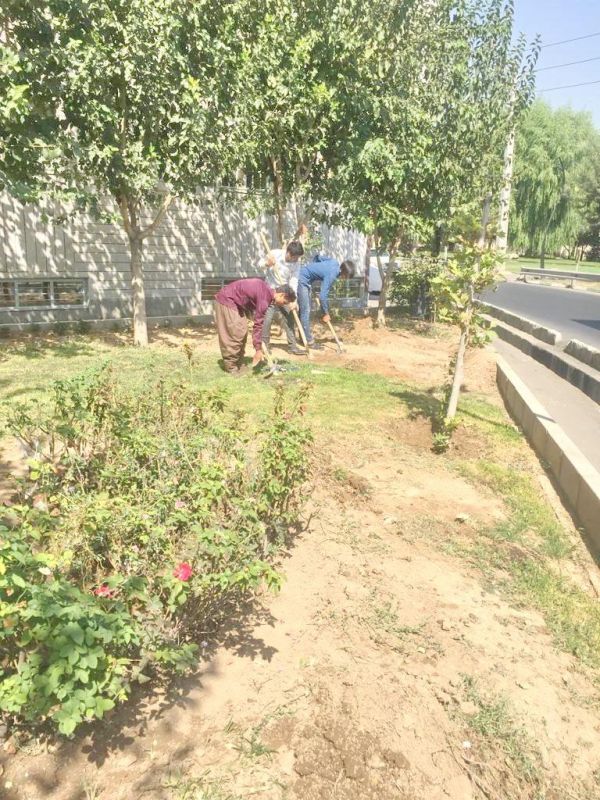 کاشت بیش از 3000 اصله درختچه در بزرگراه های جنوب شهر