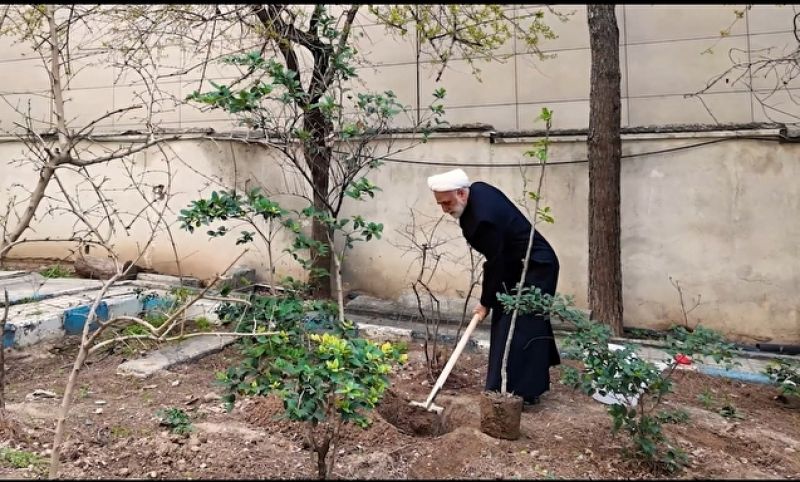 حجت&zwnj;الاسلام والمسلمین محسنی اژه&zwnj;ای، یک اصله نهال غرس کرد