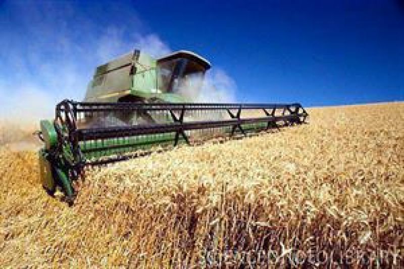 رشد ۸۰ درصدی صادرات گندم بزرگترین صادرکننده غلات جهان