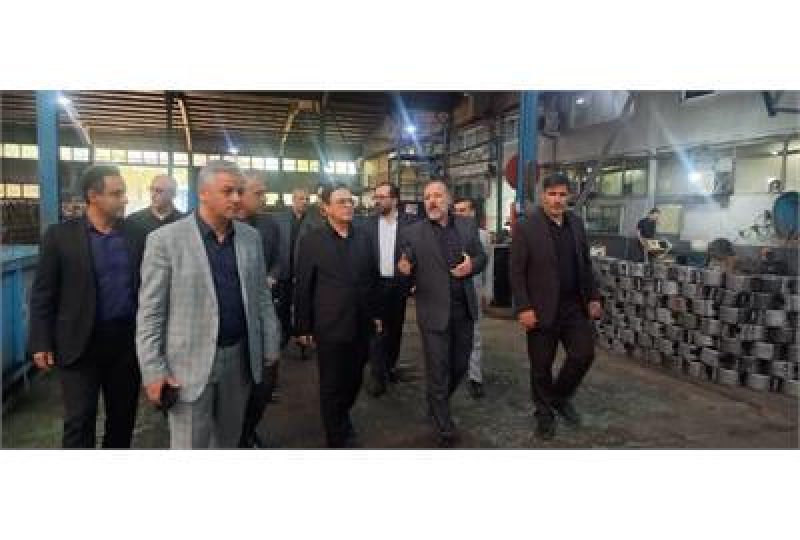موضوعات رفاهی و بهداشتی کارگران در سه واحد تولیدی استان قزوین بررسی شد