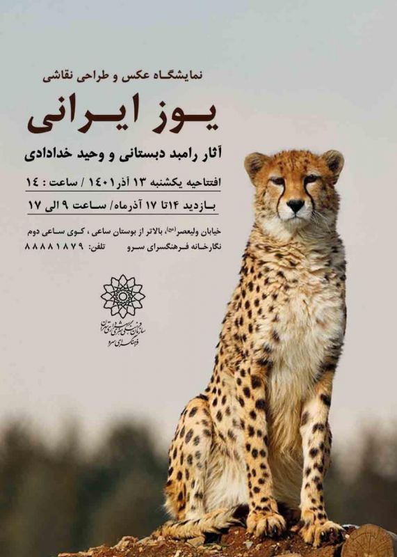 نمایشگاه عکس و طراحی نقاشی "یوز ایرانی" در نگارخانه سرو