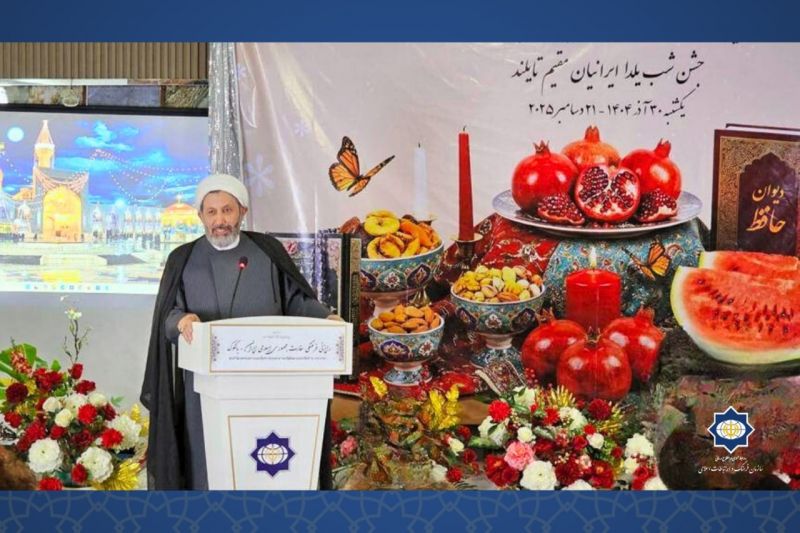 ایمانیپور: ایرانیان خارج از کشور شرکای ما در دیپلماسی فرهنگی هستند