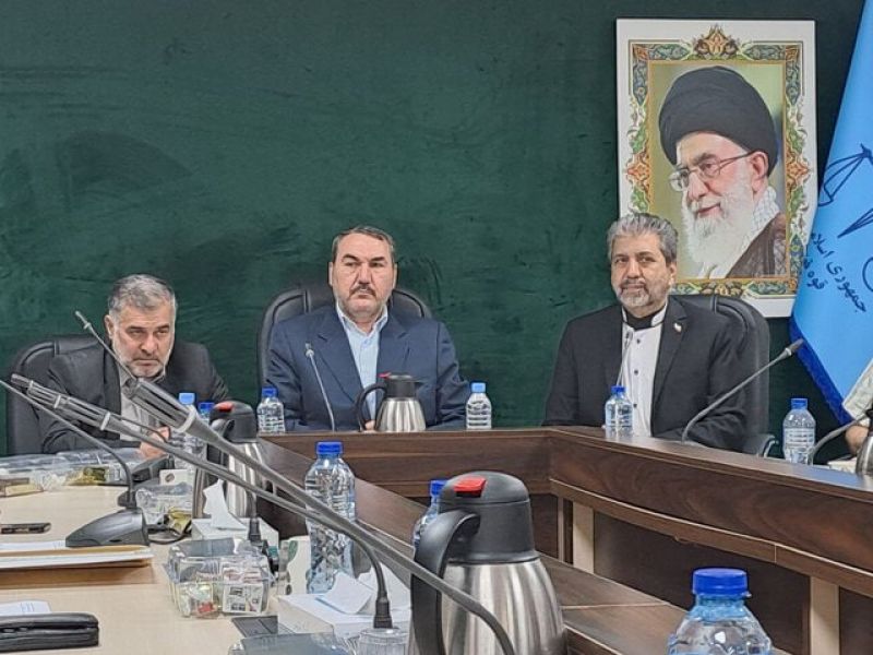 افتتاح شعبه شورای حل اختلاف ویژه ایرانیان خارج از کشور /۱۰ میلیون ایرانی خارج از کشور هستند