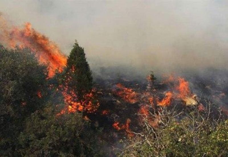 آتش‌سوزی در جنگل‌های گچساران ادامه دارد/ نابودی 435 هكتار از جنگل‌های گچساران/حفاظت از 3 منطقه حفاظت شده گچساران تنها با 300 میلیون تومان اعتبار