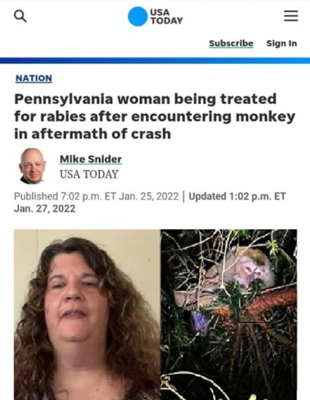 رابطه نزدیک یک زن آمریکایی با میمون آلوده به آبله 