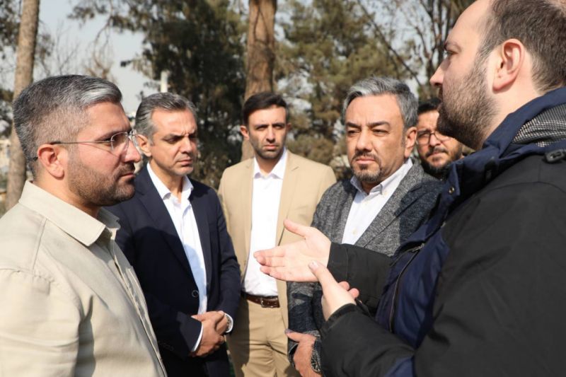 درختان منطقه ۲ آماده فصل زمستان شدند