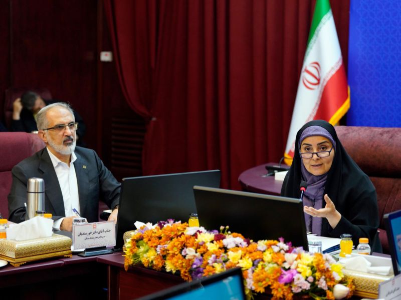 فرزانه صادق: همت بانک مسکن در سال ۱۴۰۴ در انجام تکالیف شایسته تقدیر است / باید با پشتیبانی از بانک مسکن، به پیشبرد طرح ها کمک کنیم