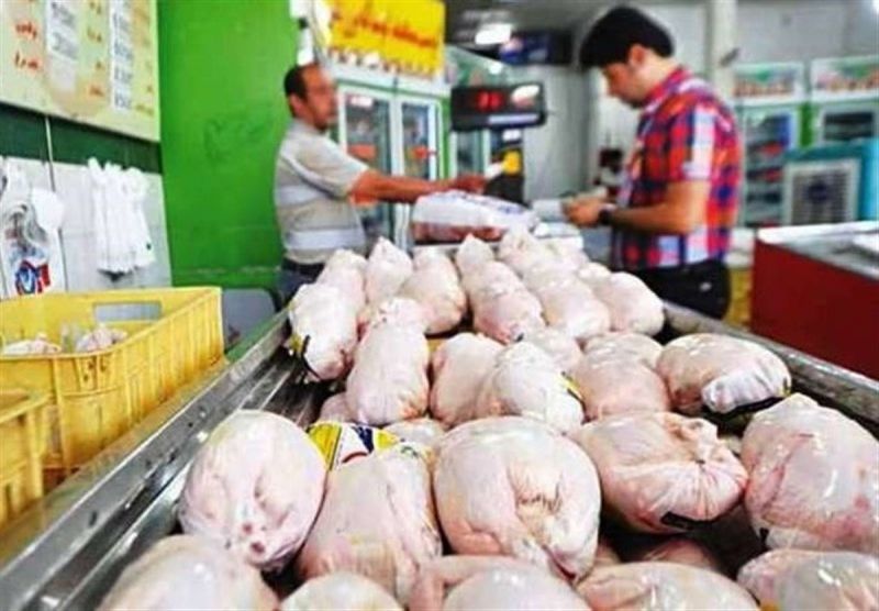  از دلایل گرانی مرغ تا بی کیفیتی نهاده‌های دامی/ مرغ از ۷۳ هزار تومان هم گران‌تر می‌شود؟