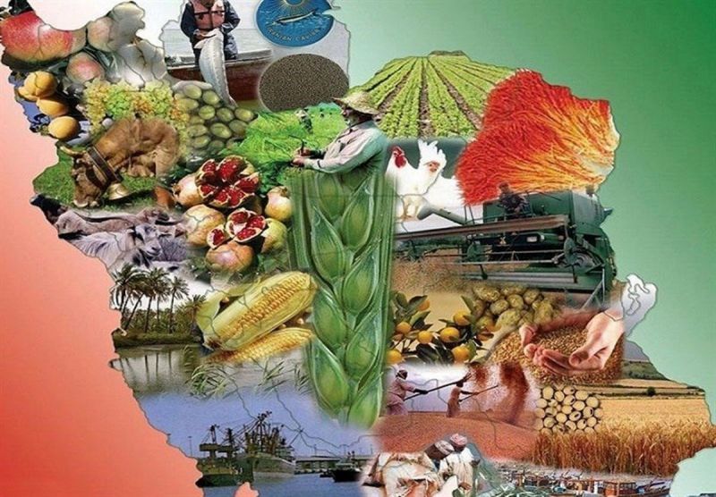 تأمین 12 میلیون تن انواع کالاهای اساسی برای تضمین امنیت غذایی کشور