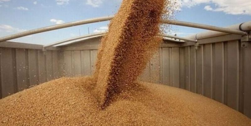 تولید گندم سال آینده ۴۰ درصد افزایش می‌یابد/ ذخیره کافی کالا‌های اساسی برای شب عید