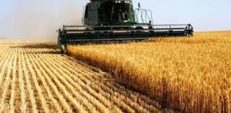 خرید گندم در کشور مرز 2 میلیون تن را پشت سر گذاشت 